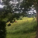 Inn Und Kanzlersgrund Oberhof (Thuringia)