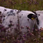 Und Kanzlersgrund * Oberhof (Thuringia)