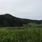 Und Kanzlersgrund