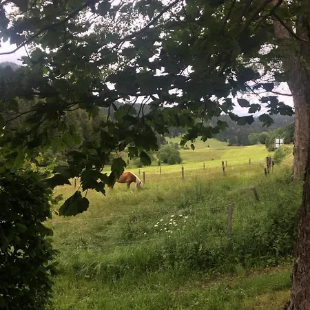 Kro Und Kanzlersgrund Oberhof (Thuringia)