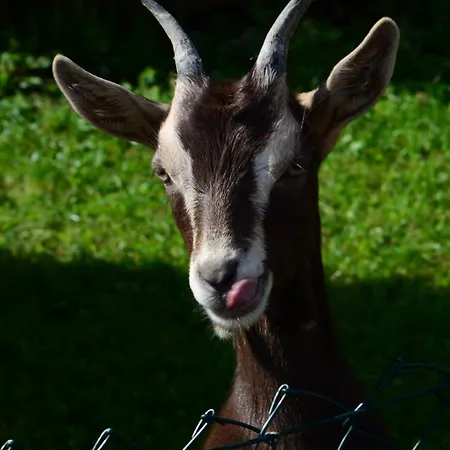 Kro Und Kanzlersgrund