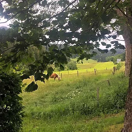 Und Kanzlersgrund 奥伯霍夫