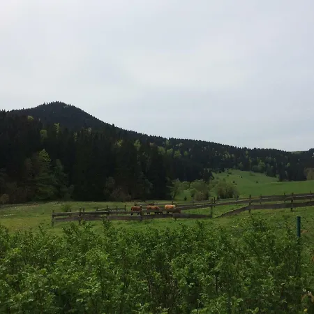 Kanzlersgrund