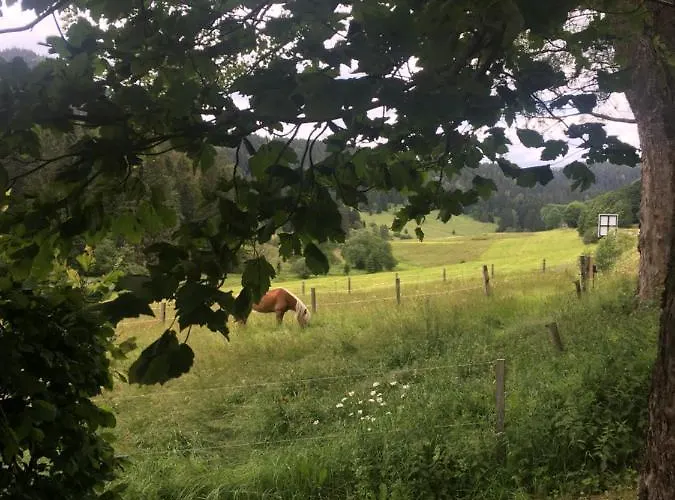 Locanda Und Kanzlersgrund Oberhof (Thuringia)