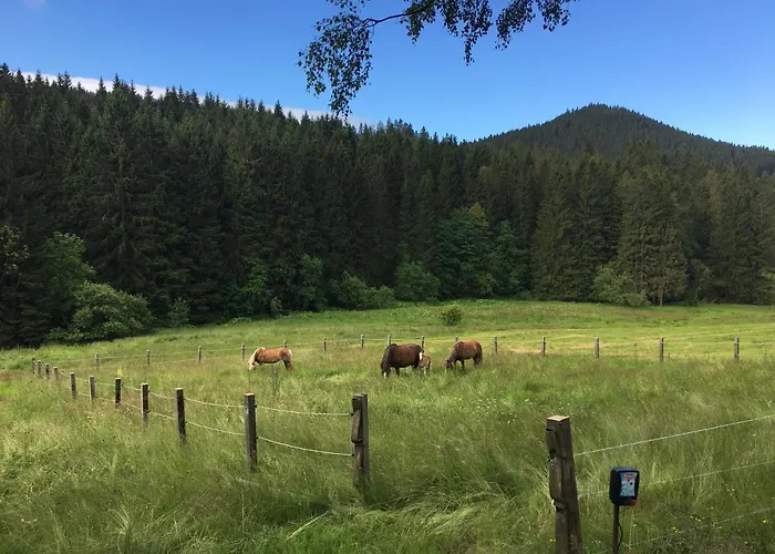 Locanda Und Kanzlersgrund