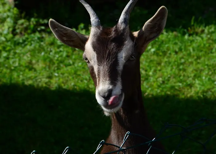 Kro Und Kanzlersgrund