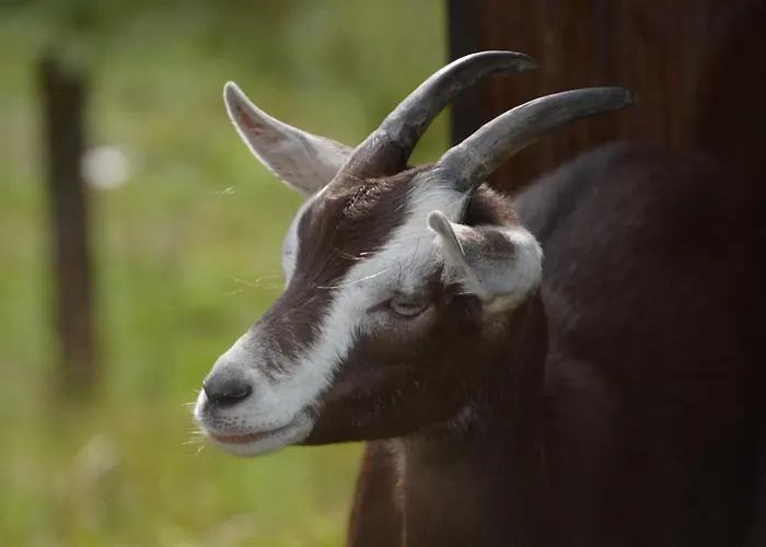 Und Kanzlersgrund Kro