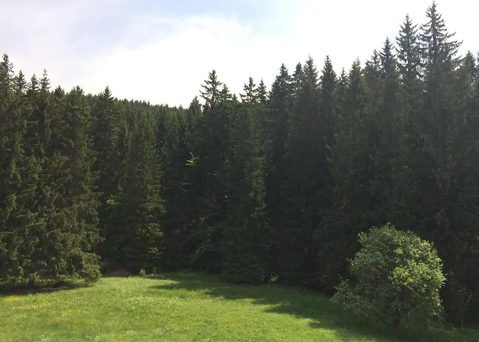 Und Kanzlersgrund Oberhof (Thuringia)